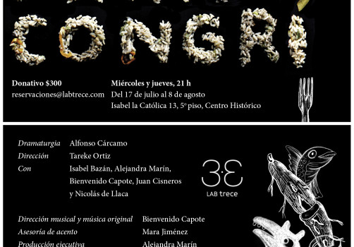 Santiago Robles, Diseño, Design, Invitación, Arroz Congrí, Teatro, Obra, Play, Isabel Bazán, Alfonso Cárcamo, Alejandra Marín