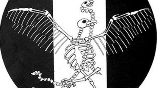 Santiago Robles, cartel, sismo 1985, UV y D, Gráfica, México