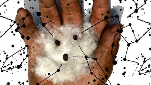 SantiagoRobles, FranciscoToledo, Diseño, Cartel, Poster, Design, GraphicDesign, Pochote, Oaxaca