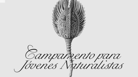 SantiagoRobles, ContemporaryArt, ArteContemporáneo, VisualArt, ArteVisual, Exhibition, Exhibición, WendyCabrera, KarlaKaplun, MarekWolfryd, Queretaro, ArteContemporaneo, ContemporaryArt