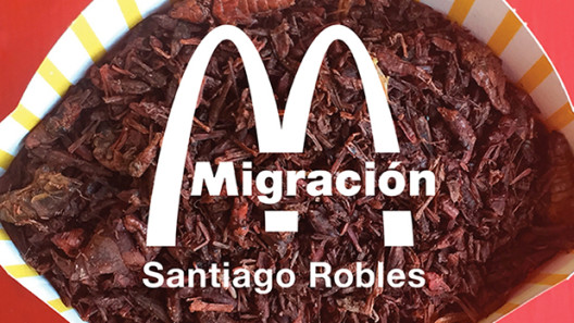 SantiagoRobles, Migracion, ChristianGomez, WendyCabrera, Libro, Book, Print, Art, ContemporaryArt, Presentación, Editorial, Print, Aeromoto