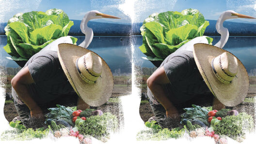 SantiagoRobles, Diseño, Cartel, SueloConservacion, MedioAmbiente, CDMX, CiudaddeMexico, Concurso, Interuniversitario