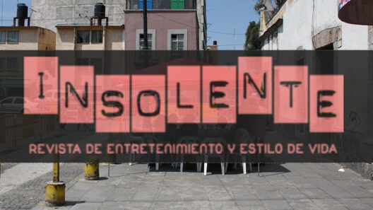 RevistaInsolente, SantiagoRobles, Entrevista,