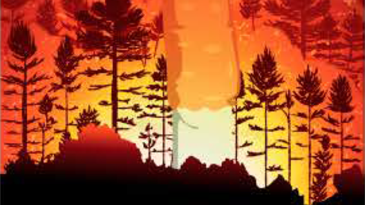 cartel, santiagorobles, diseño, INER, concurso