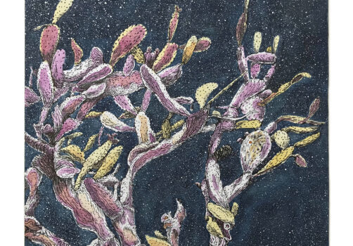 santiagorobles, maiz, santiago, robles, korn, maize, arte, chahuixtle, chahuistle, yanoscayoelchahuixtle, visualart, artevisual, cristinabarros, cencalli, museorevolucion, revolucion, contemporaryart, artecontemporaneo, amatlan, tepoztlan, museorevolucion, inauguracion