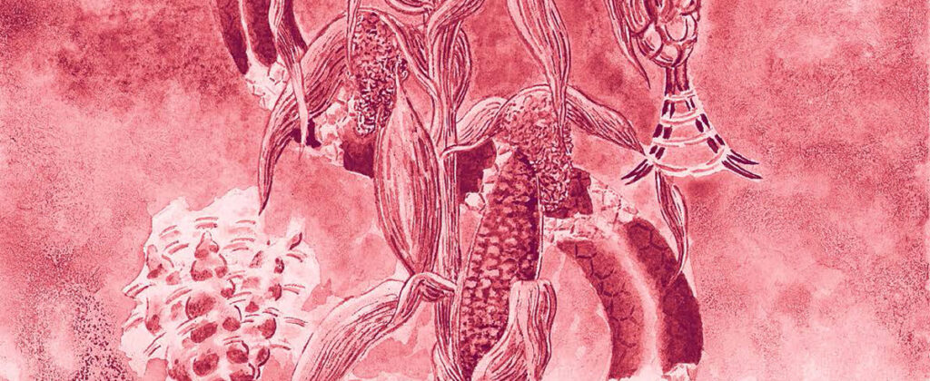 SantiagoRobles, Arte, ArteContemporaneo, ArteVisual, Maiz, Chahuixtle, YaNosCayoElChahuixtle, dibujo, pintura, retablo, grafica, MuseoNacionaldelaRevolucion, Revolucion, CristinaBarros, Maize, VisualArt, Art, ContemporaryArt