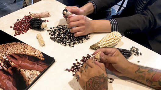 SantiagoRobles, Arte, ArteContemporaneo, ArteVisual, Maiz, Chahuixtle, YaNosCayoElChahuixtle, dibujo, pintura, retablo, grafica, MuseoNacionaldelaRevolucion, Revolucion, Maize, VisualArt, Art, ContemporaryArt, Taller, Nixtamalizacion, AliciaGarciaRosales, AliciaIvetteMaguellar