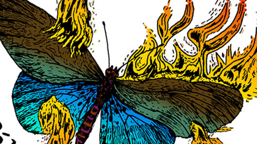 SantiagoRobles, Festejo, MarianaGandara, LUMBRE, Mariposa, MariposaDeFuego, Tlepapalotl