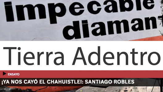 SantiagoRobles, Revista, TierraAdentro, Ensayo, JuanPabloRamos, Obra, Arte, Plastica, México, Identidad, Contemporaneo, ArteContemporaneo, FondoDeCulturaEconomica