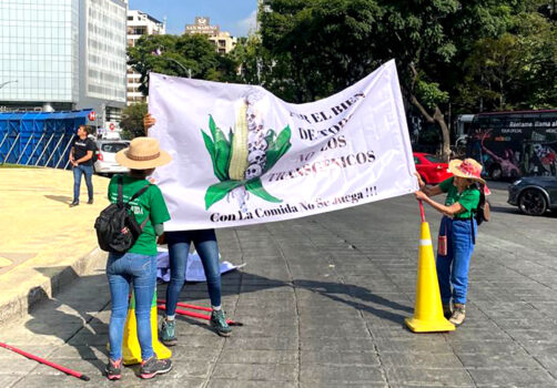 SantiagoRobles, Maiz, Corn, Intervencion, DiaNacionalDelMaiz, Ciudad, NoTransgenicos, DF, CDMX, Mexico