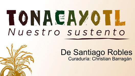 SantiagoRobles, Tonacayotl, Exposicion, Muestra, arte, art, SenadoDeLaRepublica, Maiz, Pintura, Oleo, Grabado, Dibujo, Expo, Individual, Mexico