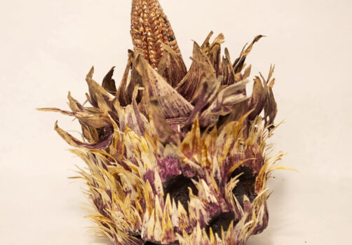 SantiagoRobles, Maiz, Craneo, Calavera, Tlacatlaolli, HojasDeMaiz, fuego, mariposa, escultura