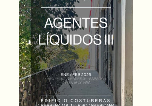 santiagorobles, agentesliquidos, cal, art, visualart, artevisual, contemporaryart, exhibition, exposicion, Guadalajara, costureras, Mexico