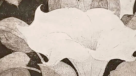 santiagorobles, arte, art, lospinos, grafica, colectiva, barbescu, naturaleza, endémica, imaginaria, radioeducacion