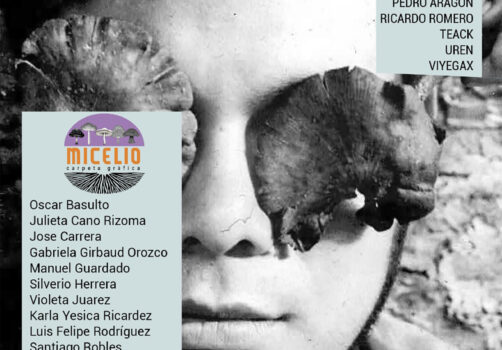 santiagorobles, huitlacoche, cuitlacochin, grafica, serigrafía, arte, art, artecontemporaneo, contemporaryart, print, micelio, carpeta, colectivo, collective