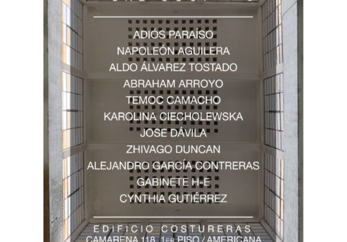 santiagorobles, agentesliquidos, cal, art, visualart, artevisual, contemporaryart, exhibition, exposicion, Guadalajara, costureras, Mexico