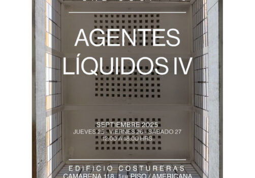 santiagorobles, agentesliquidos, cal, art, visualart, artevisual, contemporaryart, exhibition, exposicion, Guadalajara, costureras, Mexico