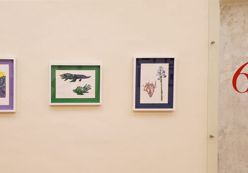 Amoxtli, Arte, Art, SantiagoRobles, UAEH, LaGarza, ContemporaryArt, Mexico, VisualArt