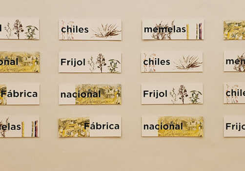 Amoxtli, Arte, Art, SantiagoRobles, UAEH, LaGarza, ContemporaryArt, Mexico, VisualArt