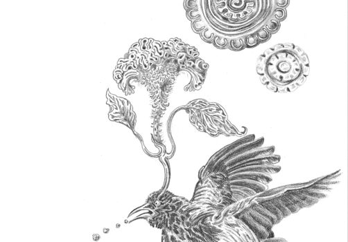 Amoxtli, Arte, Art, SantiagoRobles, UAEH, LaGarza, ContemporaryArt, Mexico, VisualArt