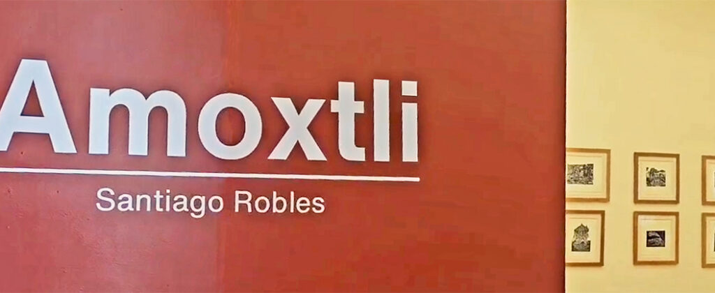Amoxtli, Arte, Art, SantiagoRobles, UAEH, LaGarza, ContemporaryArt, Mexico, VisualArt