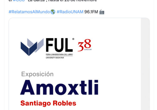 Amoxtli, Arte, Art, SantiagoRobles, UAEH, LaGarza, ContemporaryArt, Mexico, VisualArt