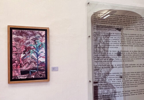 Amoxtli, Arte, Art, SantiagoRobles, UAEH, LaGarza, ContemporaryArt, Mexico, VisualArt