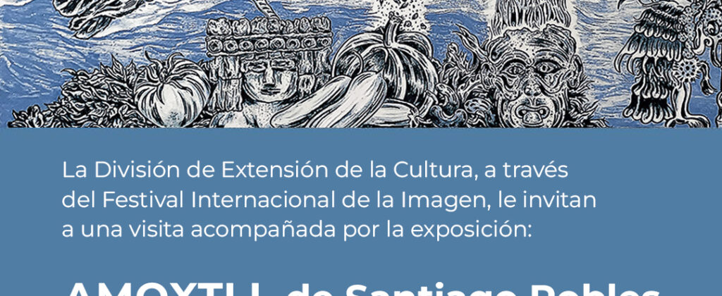 Amoxtli, Arte, Art, SantiagoRobles, UAEH, LaGarza, ContemporaryArt, Mexico, VisualArt