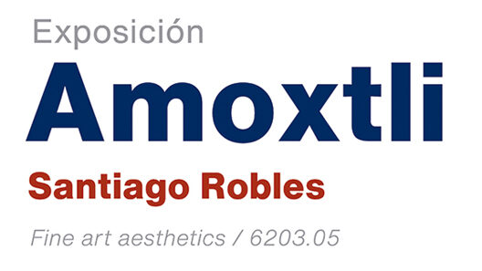 Amoxtli, Arte, Art, SantiagoRobles, UAEH, LaGarza, ContemporaryArt, Mexico, VisualArt