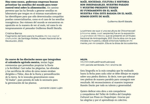 Amoxtli, Arte, Art, SantiagoRobles, UAEH, LaGarza, ContemporaryArt, Mexico, VisualArt