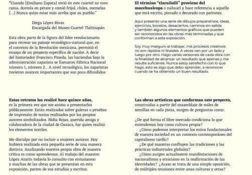 Amoxtli, Arte, Art, SantiagoRobles, UAEH, LaGarza, ContemporaryArt, Mexico, VisualArt