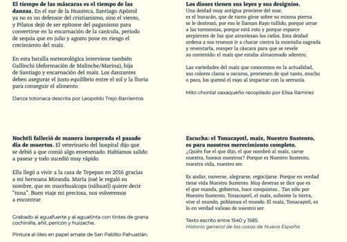 Amoxtli, Arte, Art, SantiagoRobles, UAEH, LaGarza, ContemporaryArt, Mexico, VisualArt