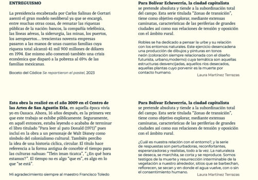 Amoxtli, Arte, Art, SantiagoRobles, UAEH, LaGarza, ContemporaryArt, Mexico, VisualArt