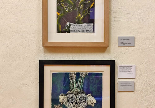 Amoxtli, Arte, Art, SantiagoRobles, UAEH, LaGarza, ContemporaryArt, Mexico, VisualArt