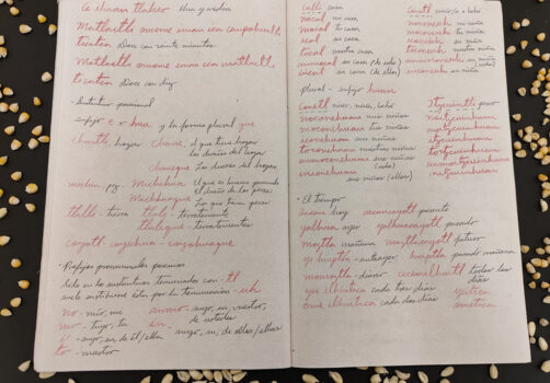 Amoxtli, Arte, Art, SantiagoRobles, UAEH, LaGarza, ContemporaryArt, Mexico, VisualArt