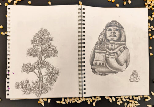 Amoxtli, Arte, Art, SantiagoRobles, UAEH, LaGarza, ContemporaryArt, Mexico, VisualArt